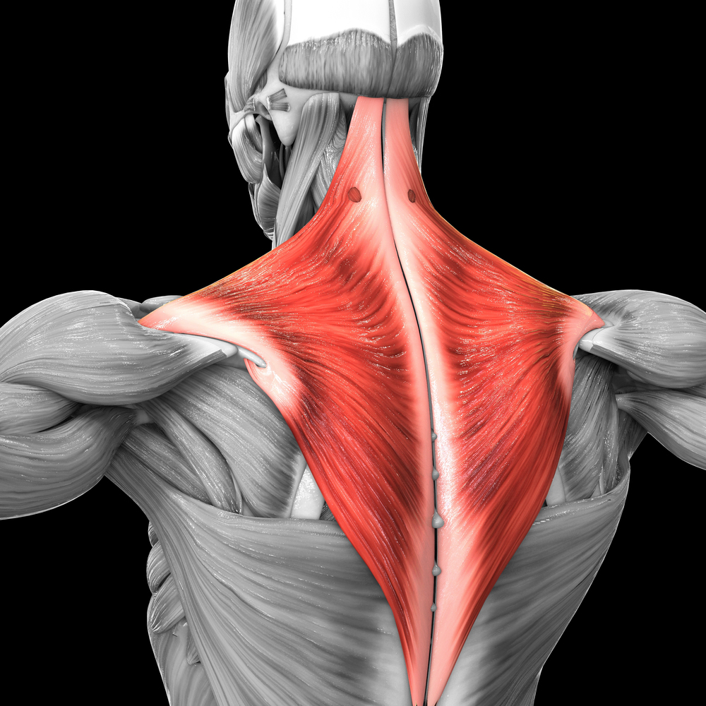 5004fa1af2c7e179204fd58a743de628b3579459 (1)